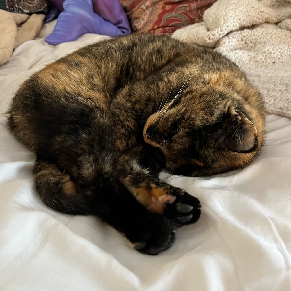 Bundle Order for Ashley